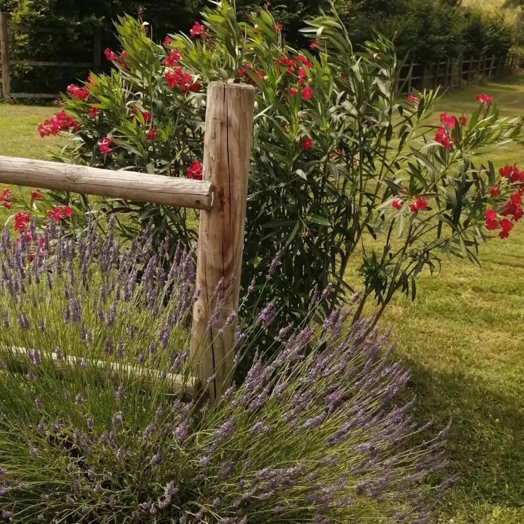La Fontaine de la Chapinière CW à 5 KM du Zoo Park de Beauval