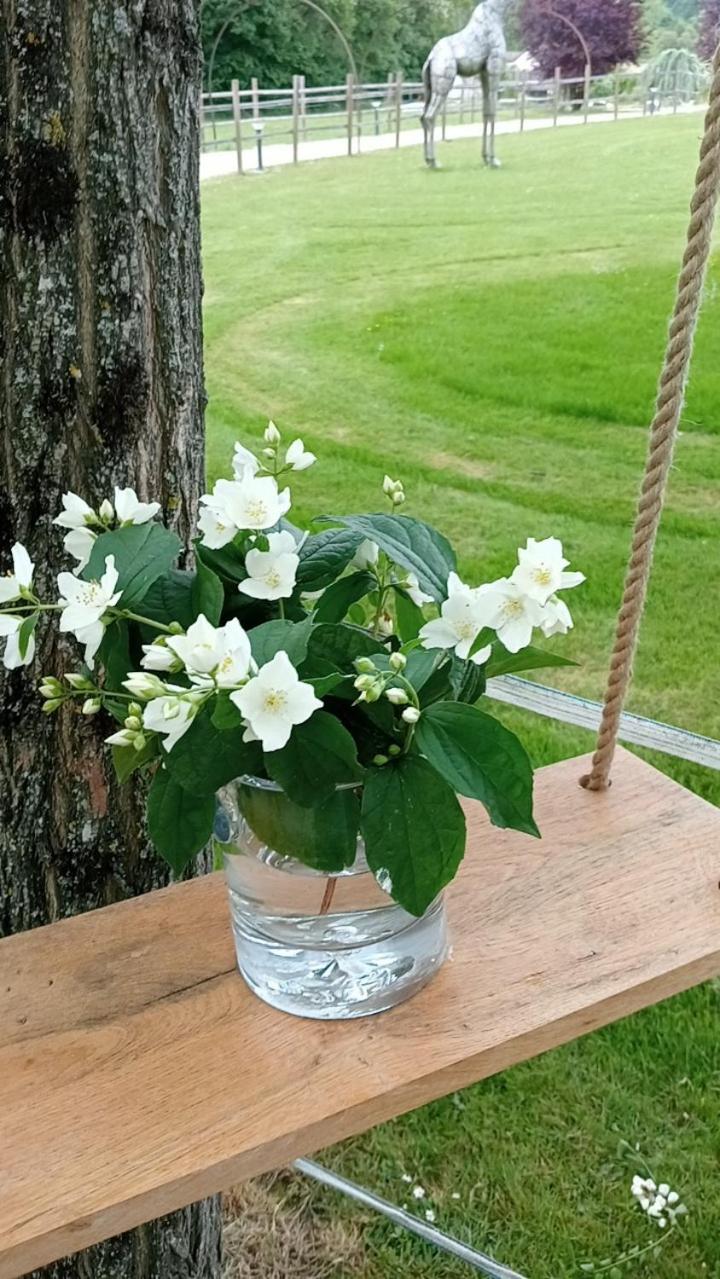 La Fontaine de la Chapinière CW à 5 KM du Zoo Park de Beauval