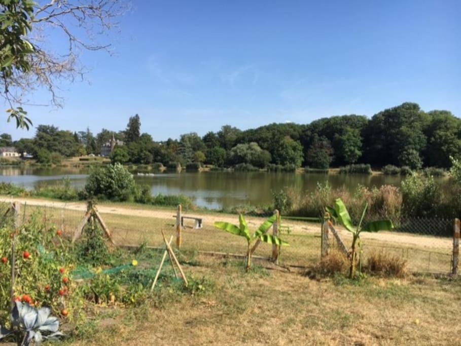 Maison face à l'étang