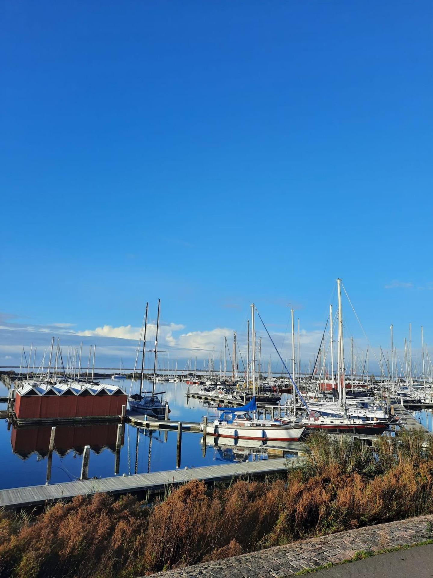 Studio Flevo Batavia