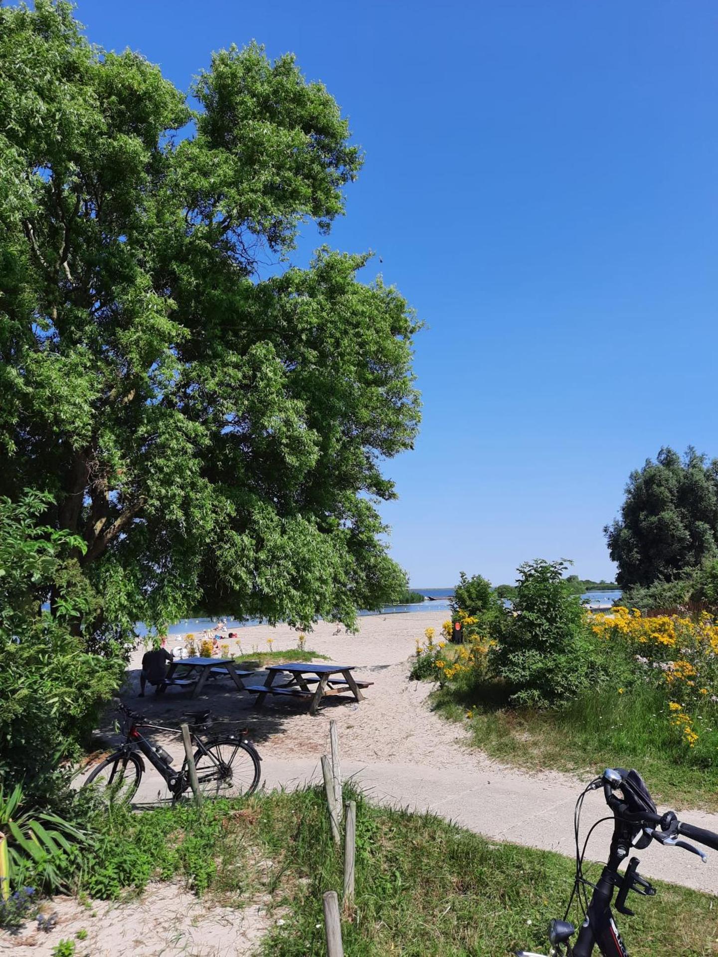 Studio Flevo Batavia