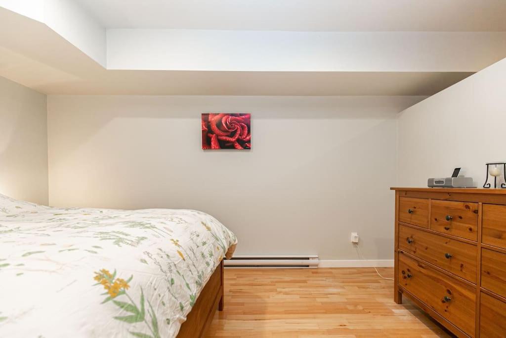 Lovely 1 Bedroom Suite Near Town