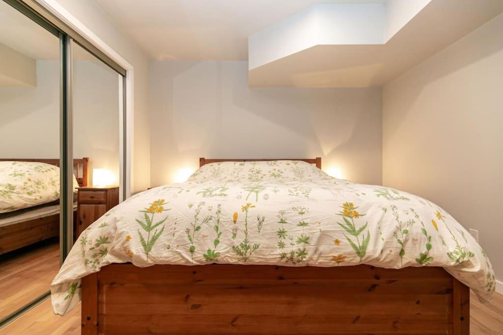 Lovely 1 Bedroom Suite Near Town