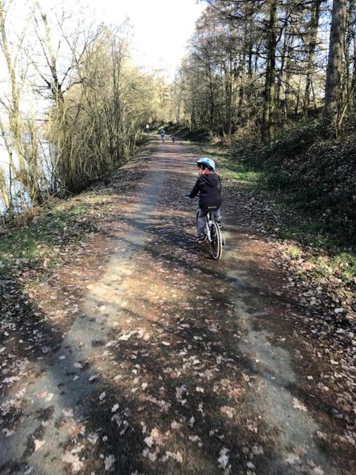 Gîte La Forestière