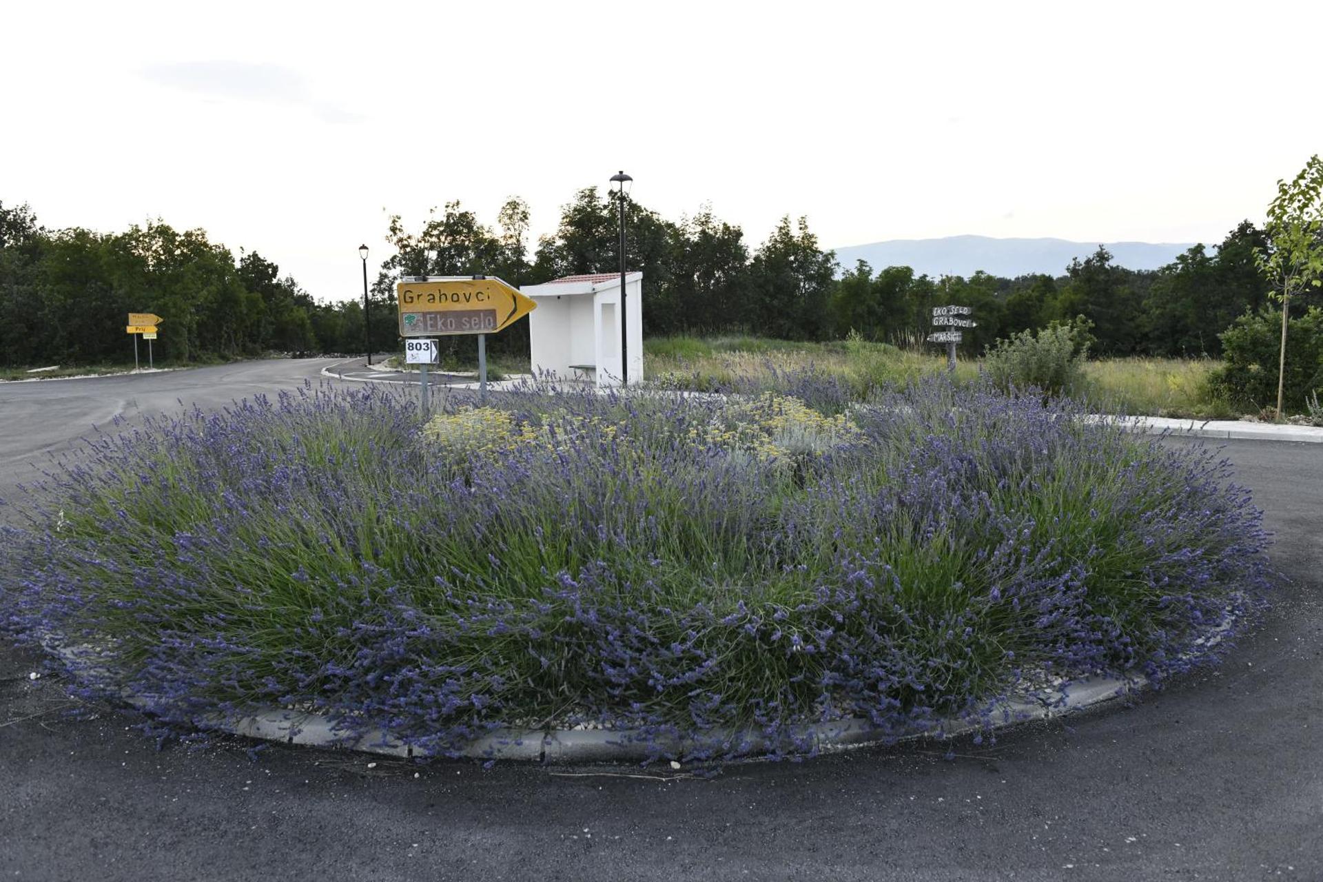 Great place for relaxation