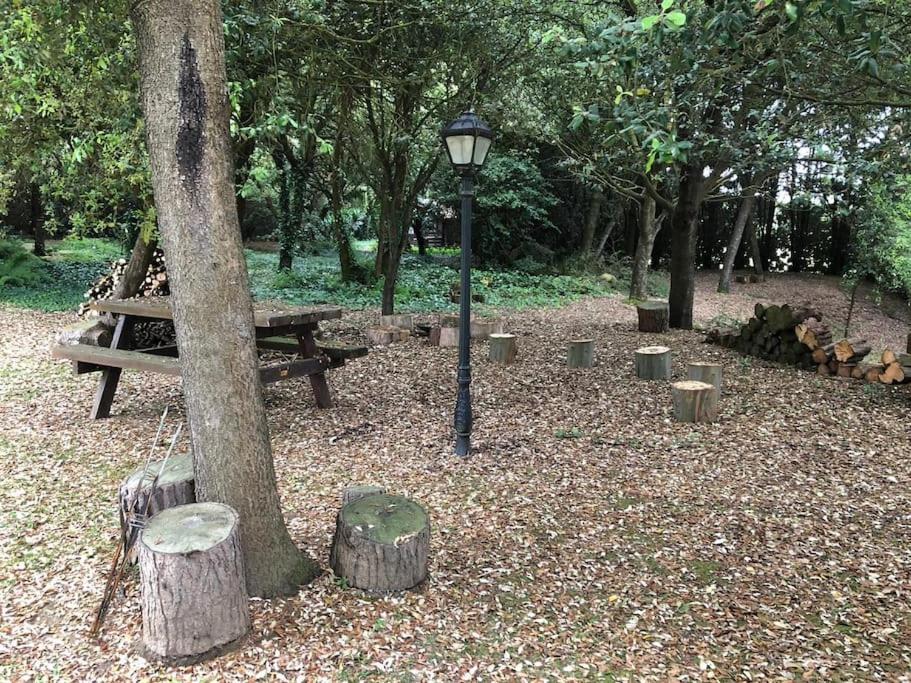 Cabaña de ensueño en el bosque y junto al mar