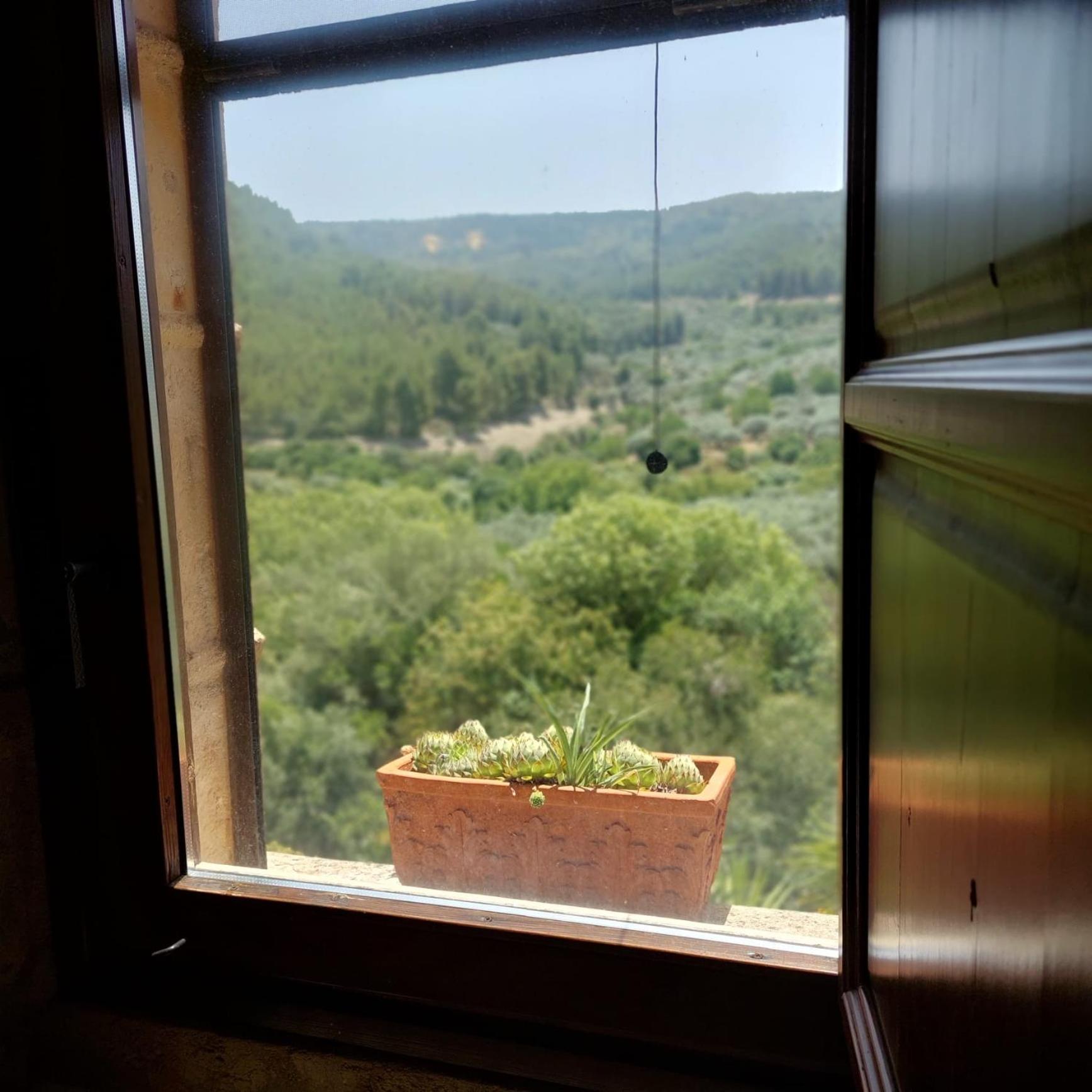 Le Case Di S. Andrea