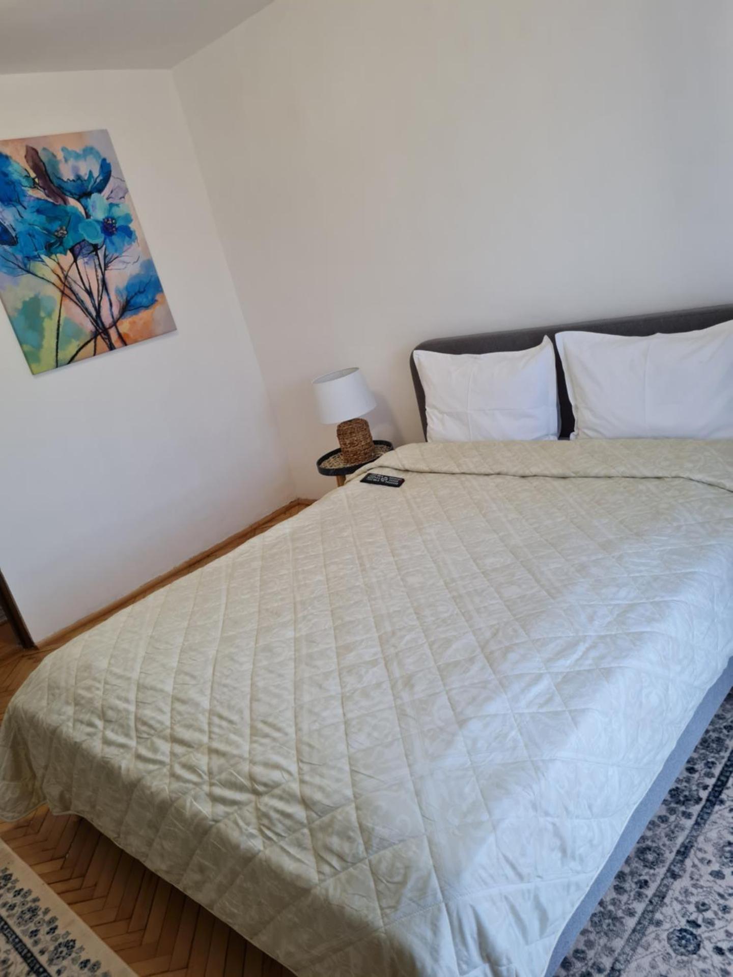 Apartament Central