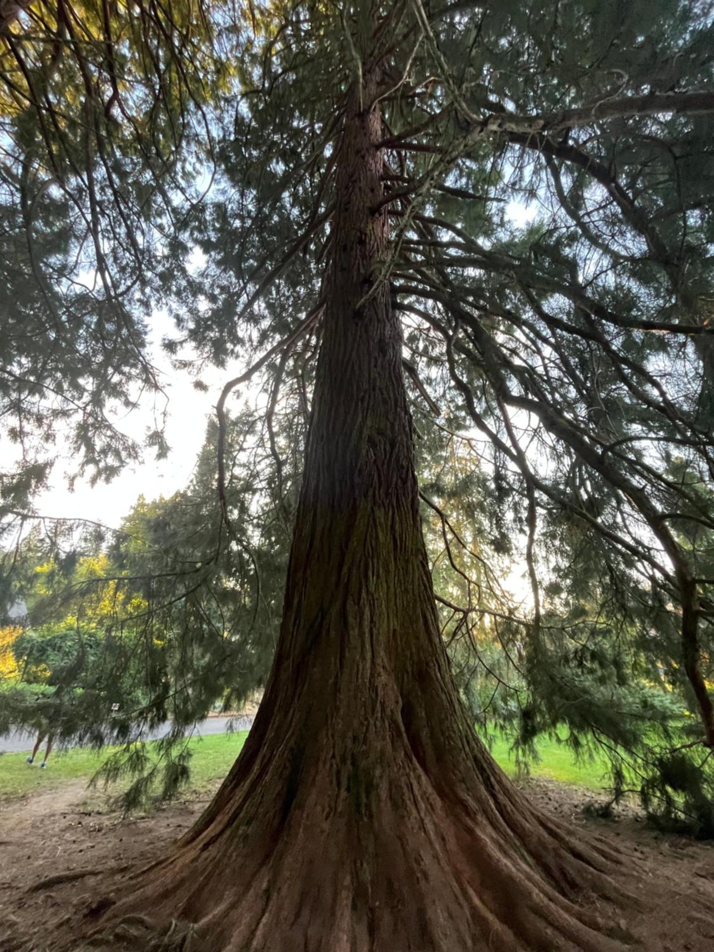 Altitude Location Montagne