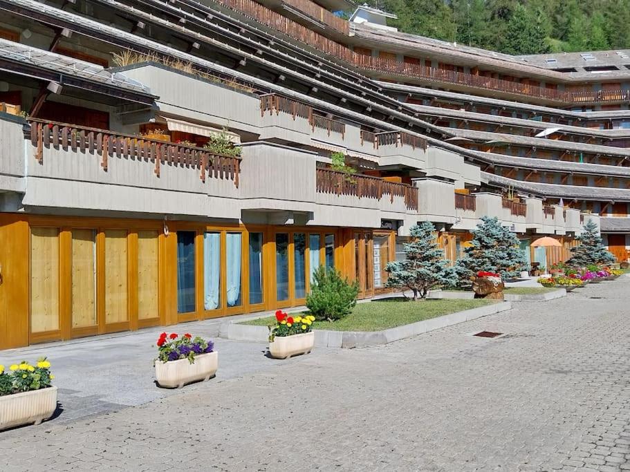 Ciel Bleu - Cir 0122