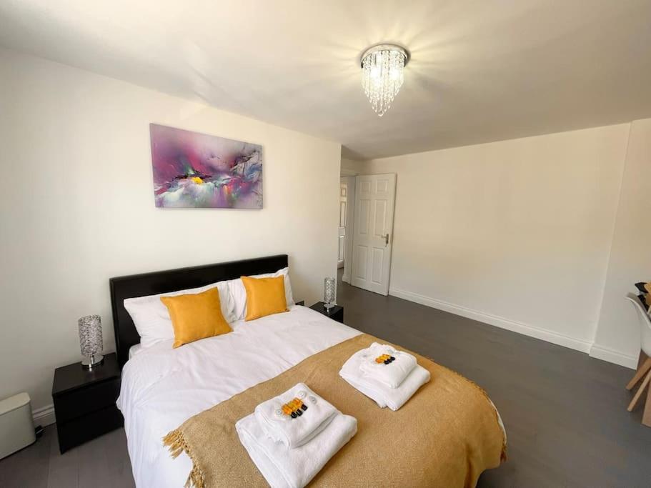 Entire Apartment hosted by Pius