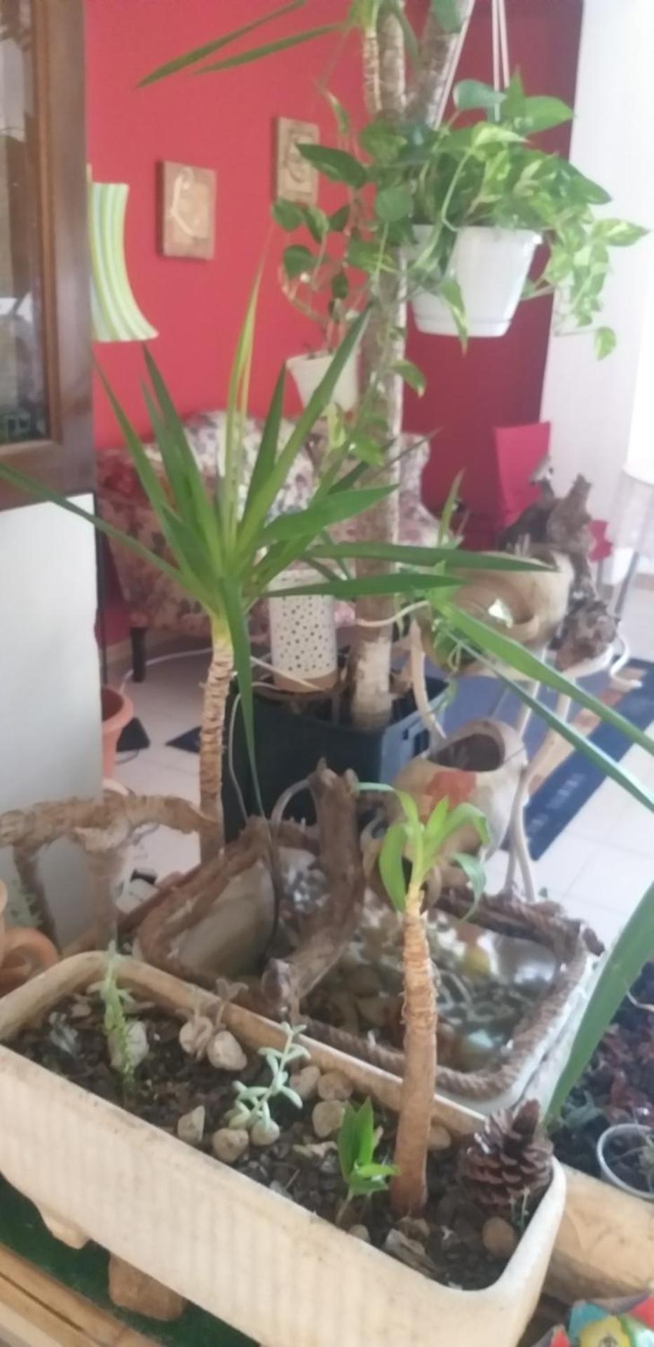 Bed & Breakfast LA TERRAZZA