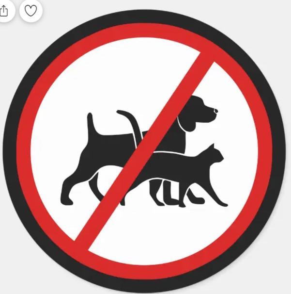 Economy Quadruple Room with Shared Bathroom