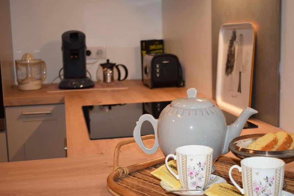 Appartement avec accès piscine et jardin dans hôtel particulier