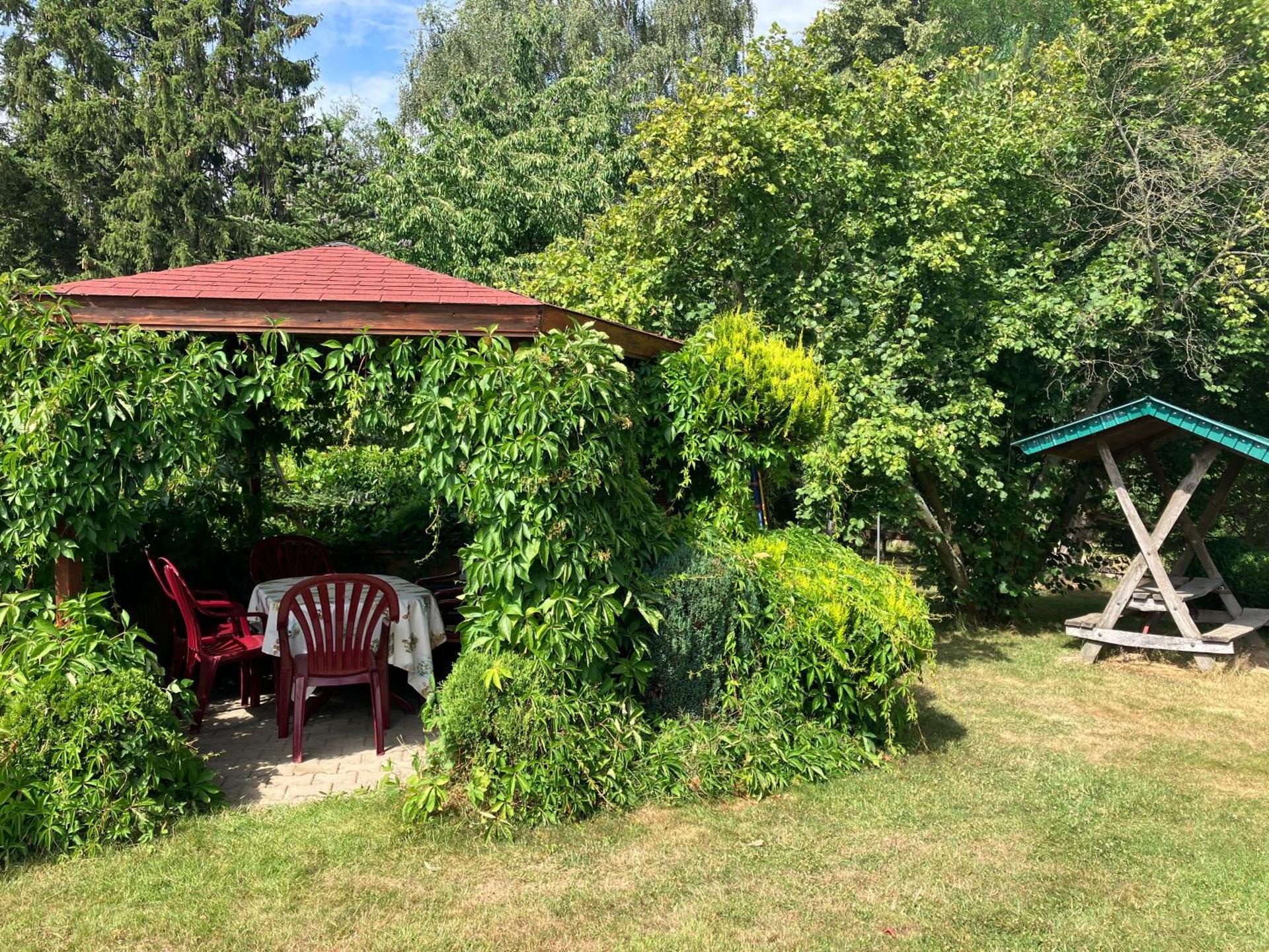 Children play ground