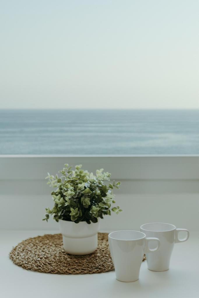 Vimar Algarrobo Costa