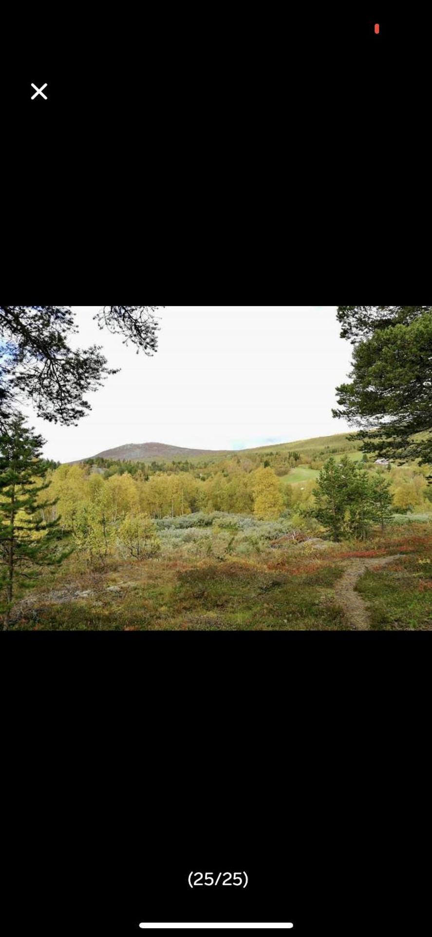 Bjorli Apartment with everything, 150m from ski lift