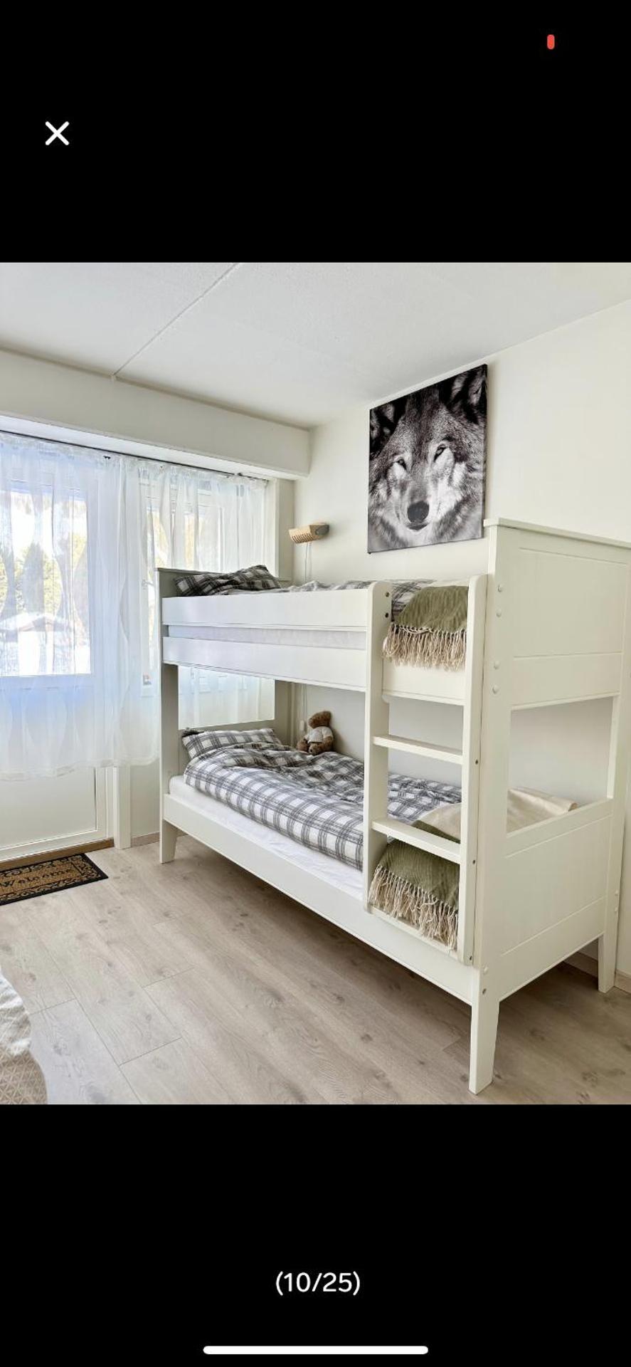 Bjorli Apartment with everything, 150m from ski lift