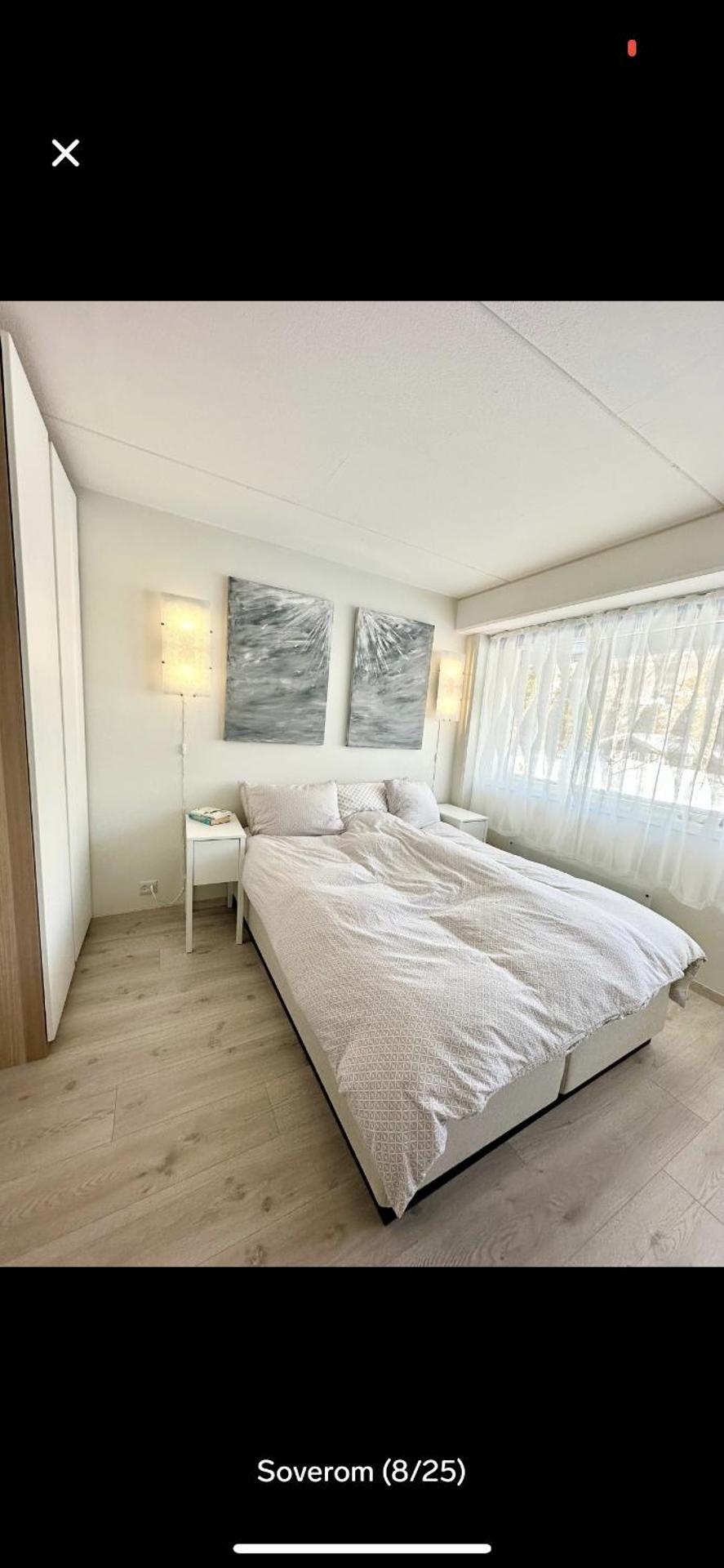 Bjorli Apartment with everything, 150m from ski lift