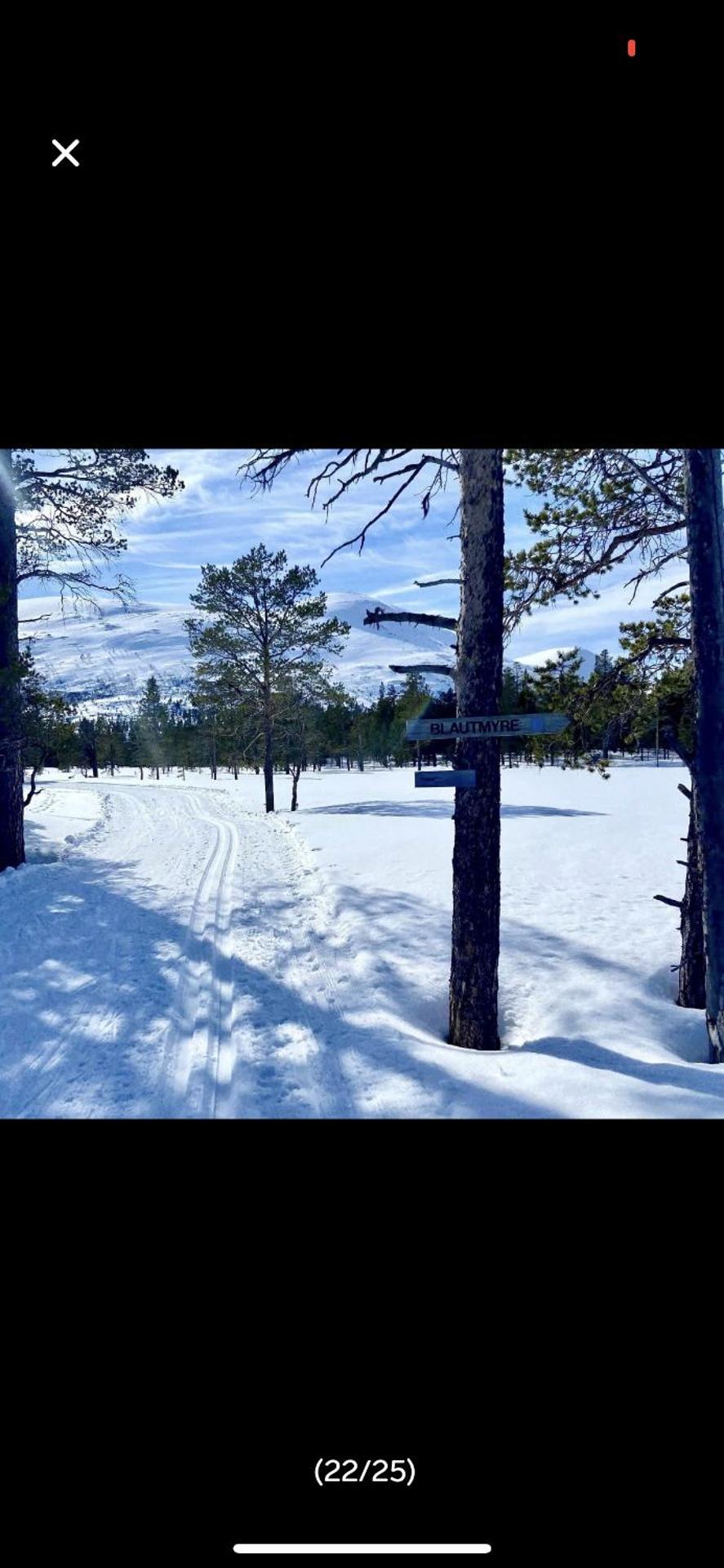 Bjorli Apartment with everything, 150m from ski lift