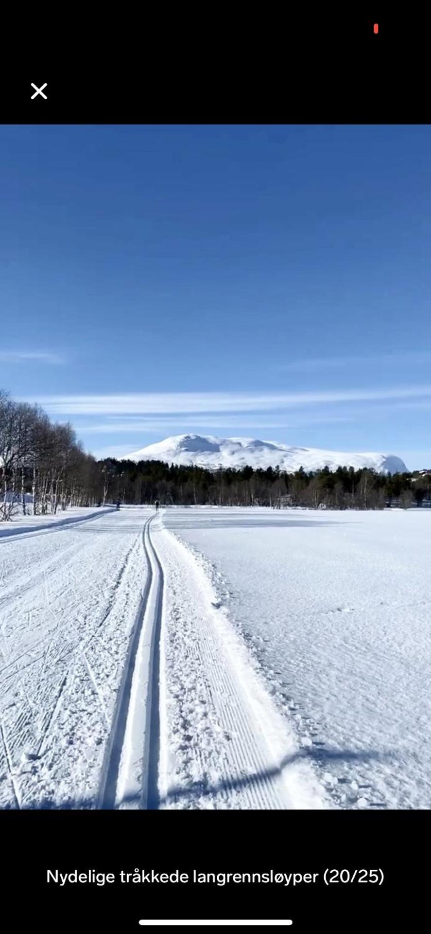 Bjorli Apartment with everything, 150m from ski lift