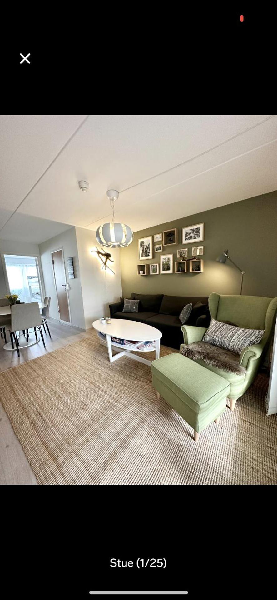 Bjorli Apartment with everything, 150m from ski lift