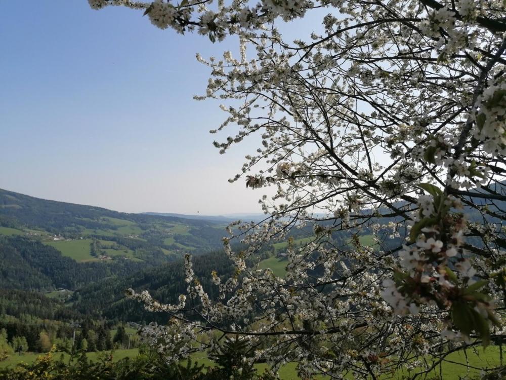 Alpengasthof Fernblick