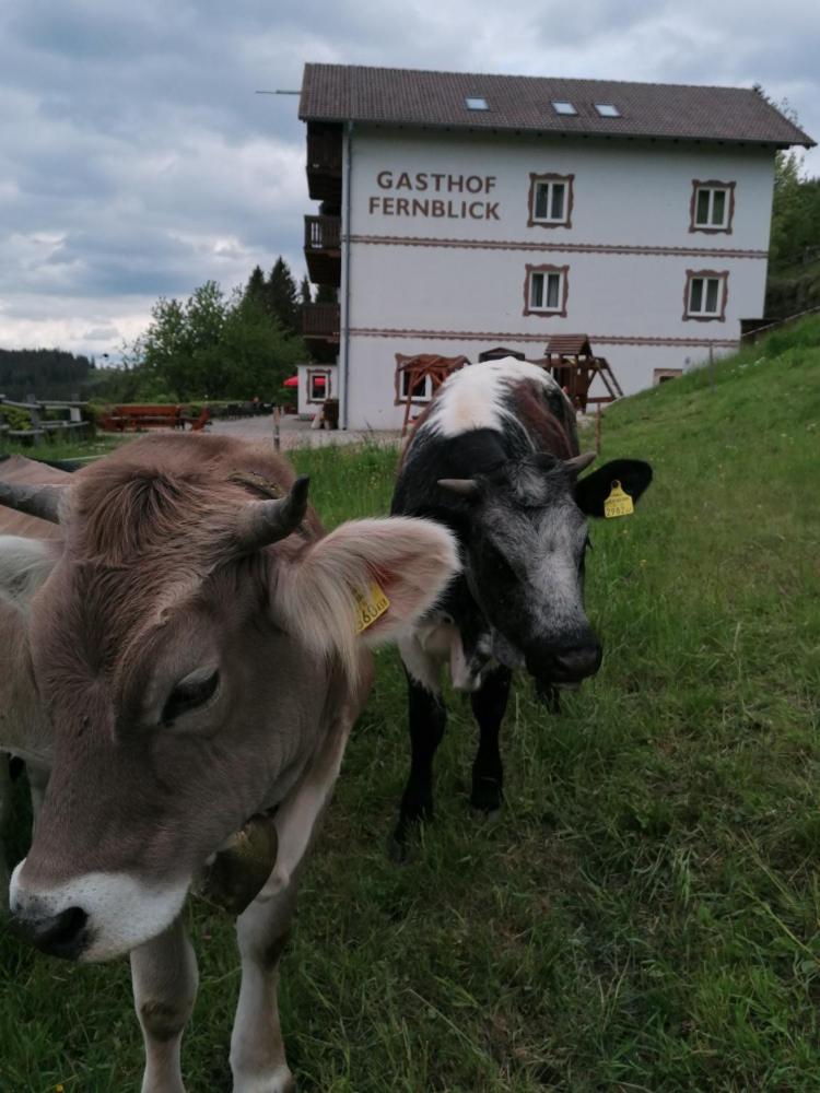 Alpengasthof Fernblick
