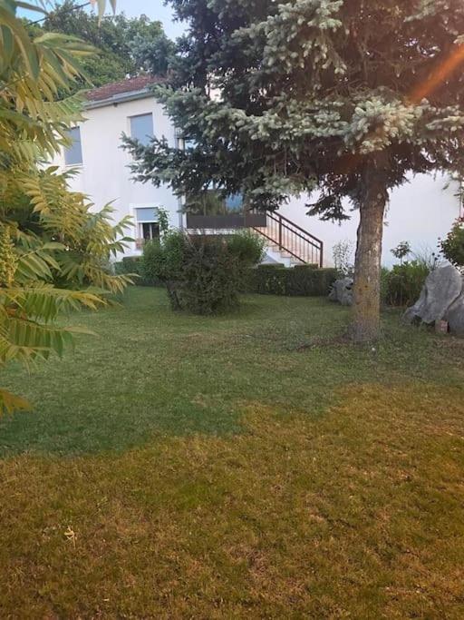 Apartment Ksenija 2 rooms, 55m2 brand-new