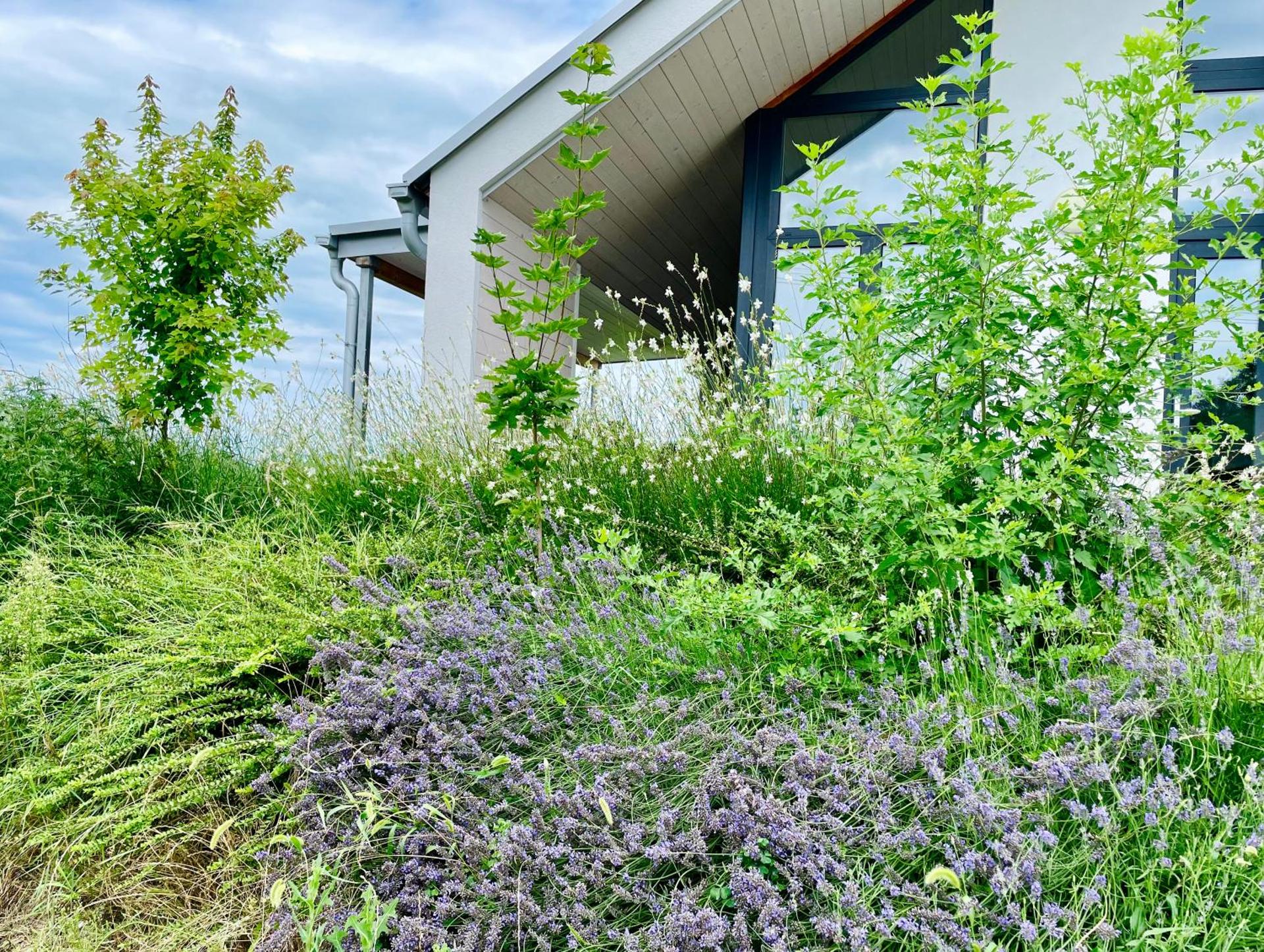 Wine & Space Lodge at Lake Balaton