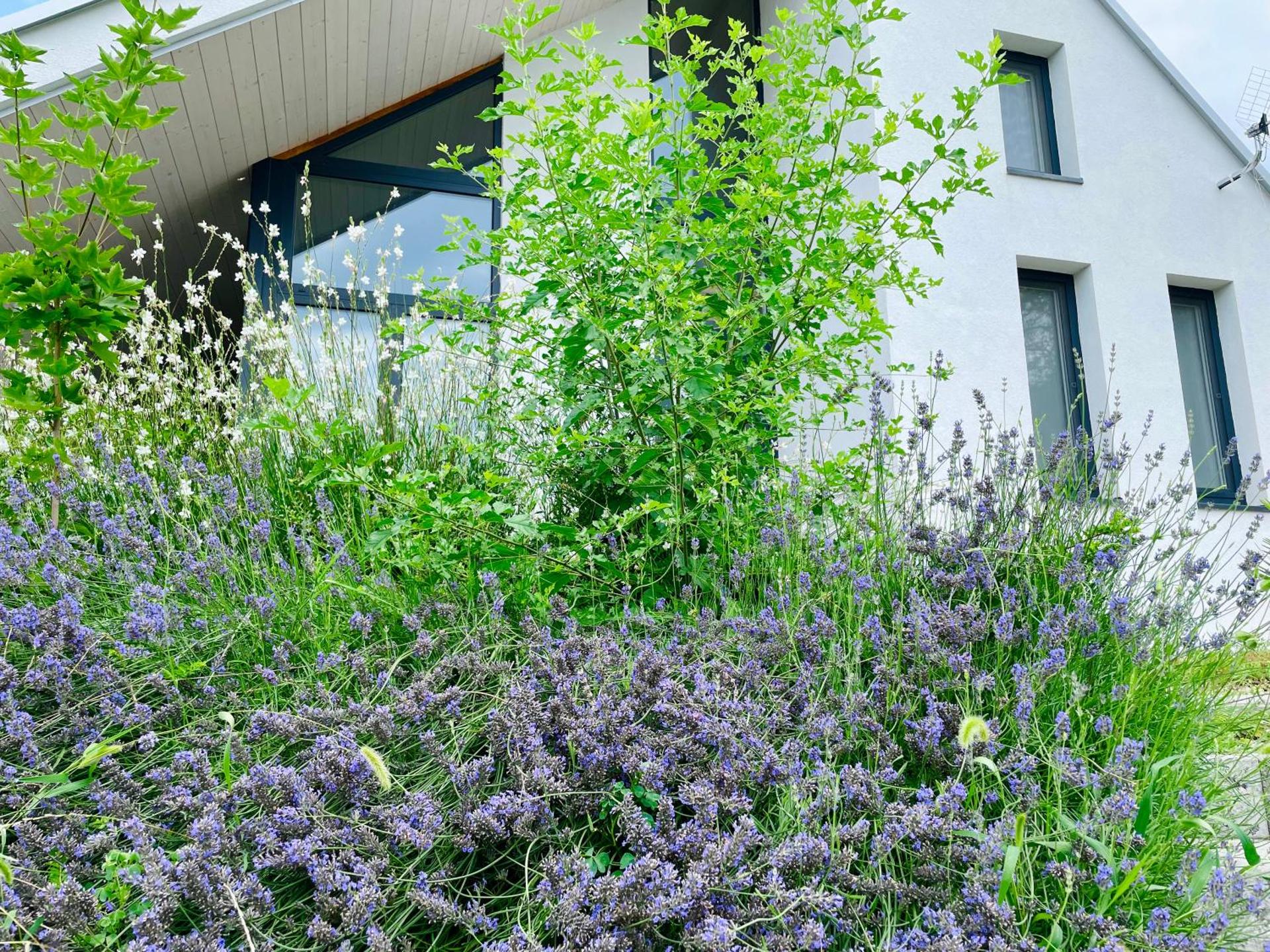 Wine & Space Lodge at Lake Balaton