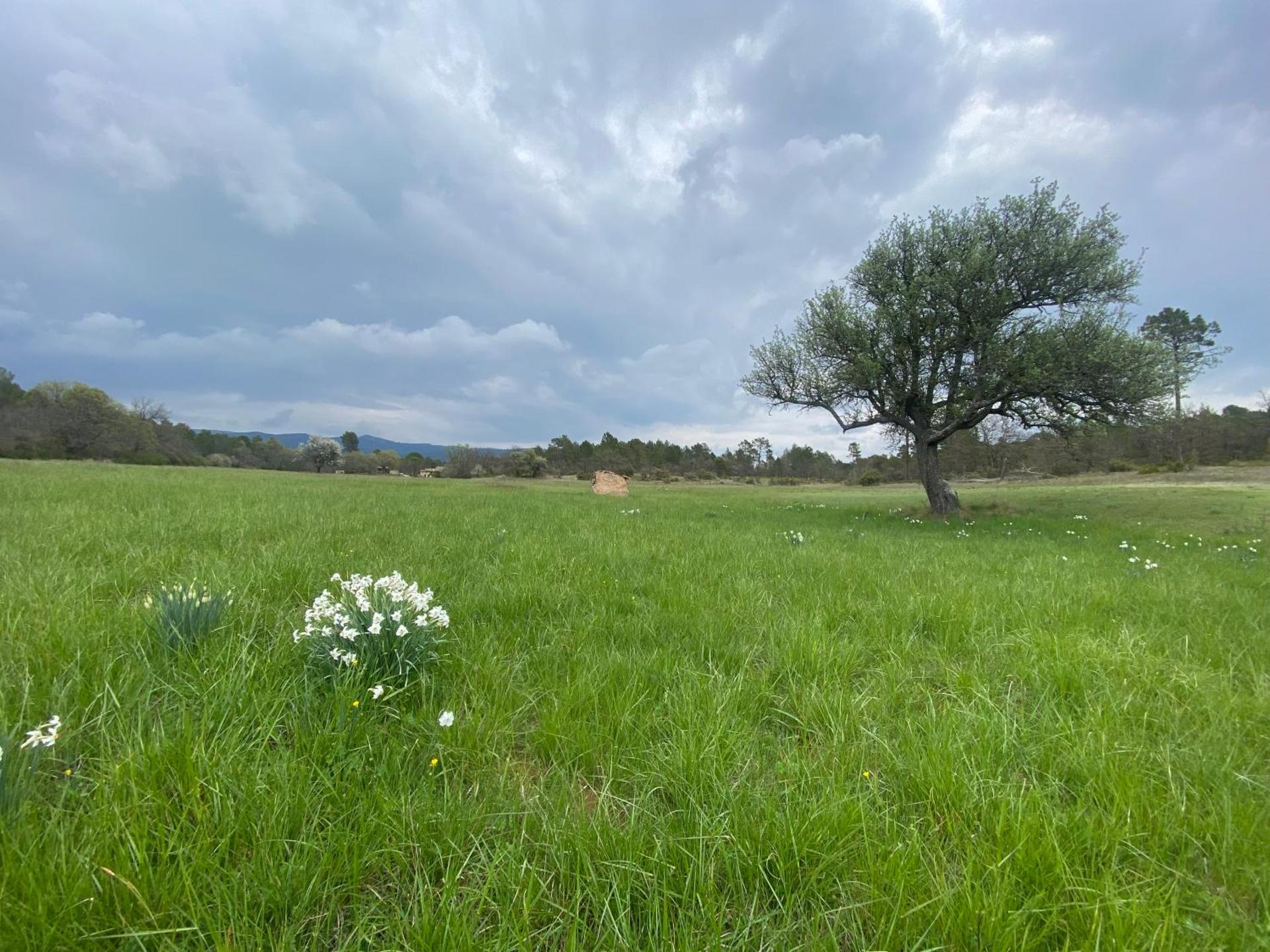 La cabane avec jacuzzi