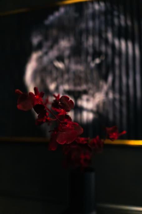 Love Cottage 2 mit Whirlpool