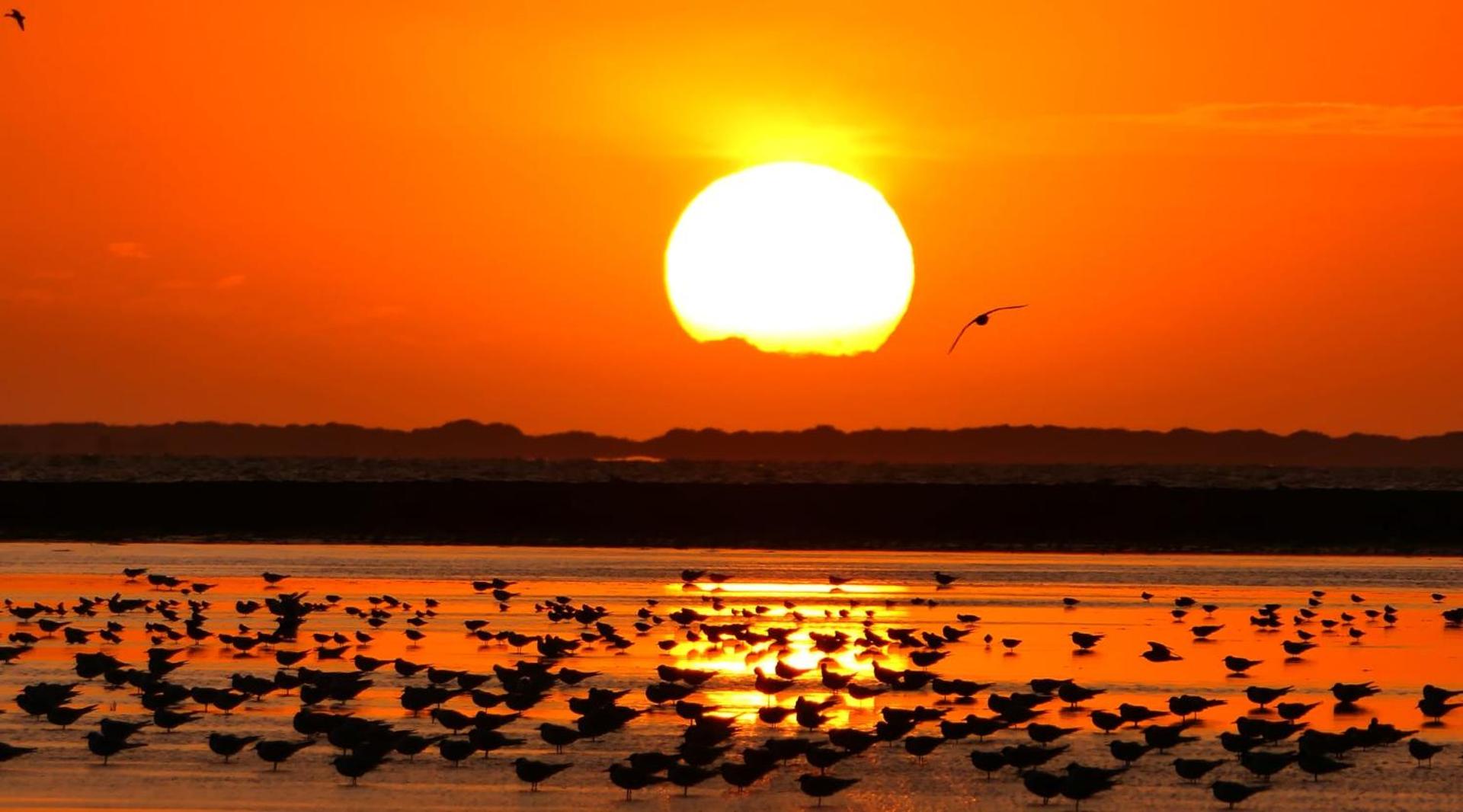 't Pakhús Appartement