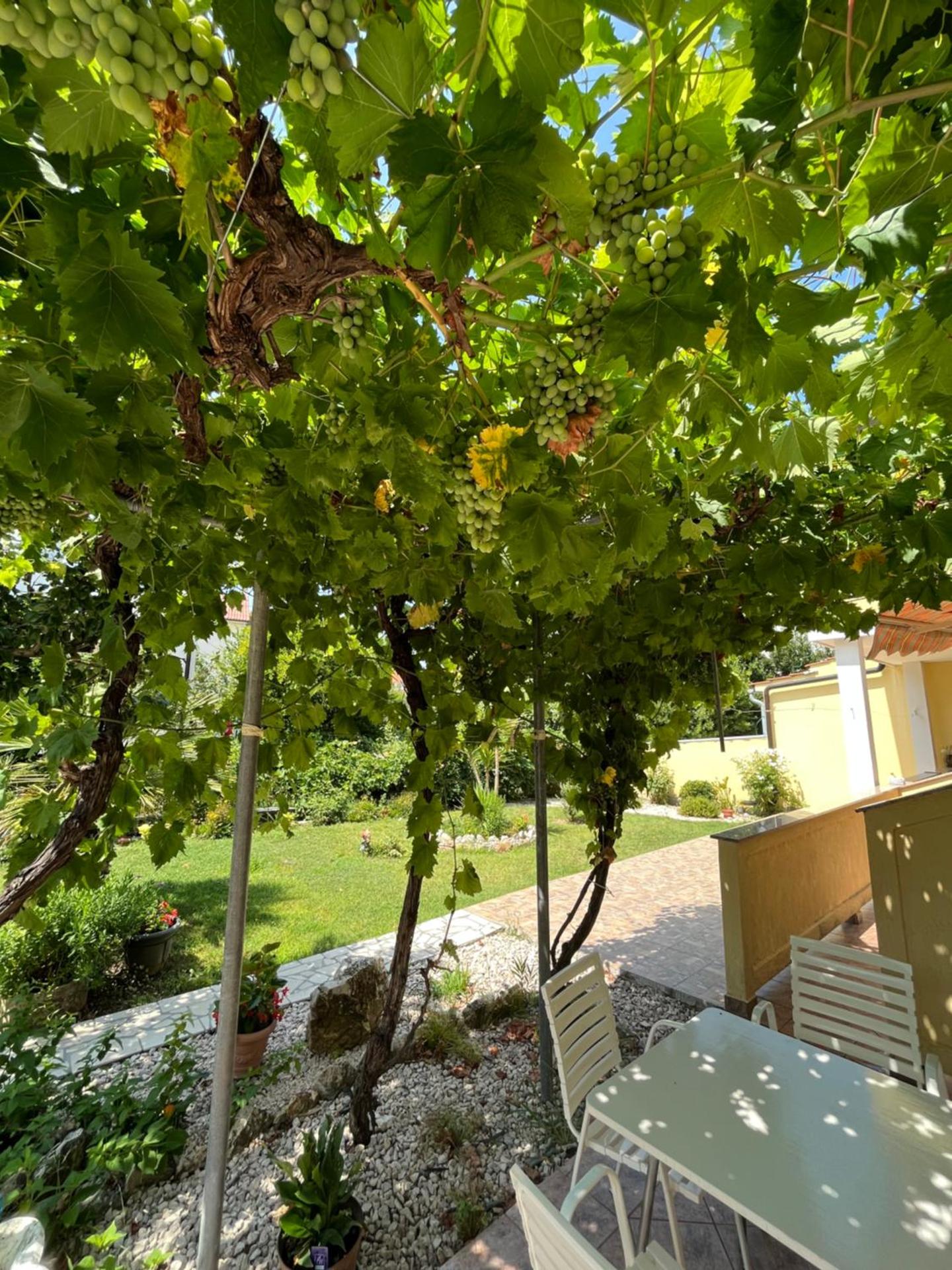 Apartments and Rooms Markovski