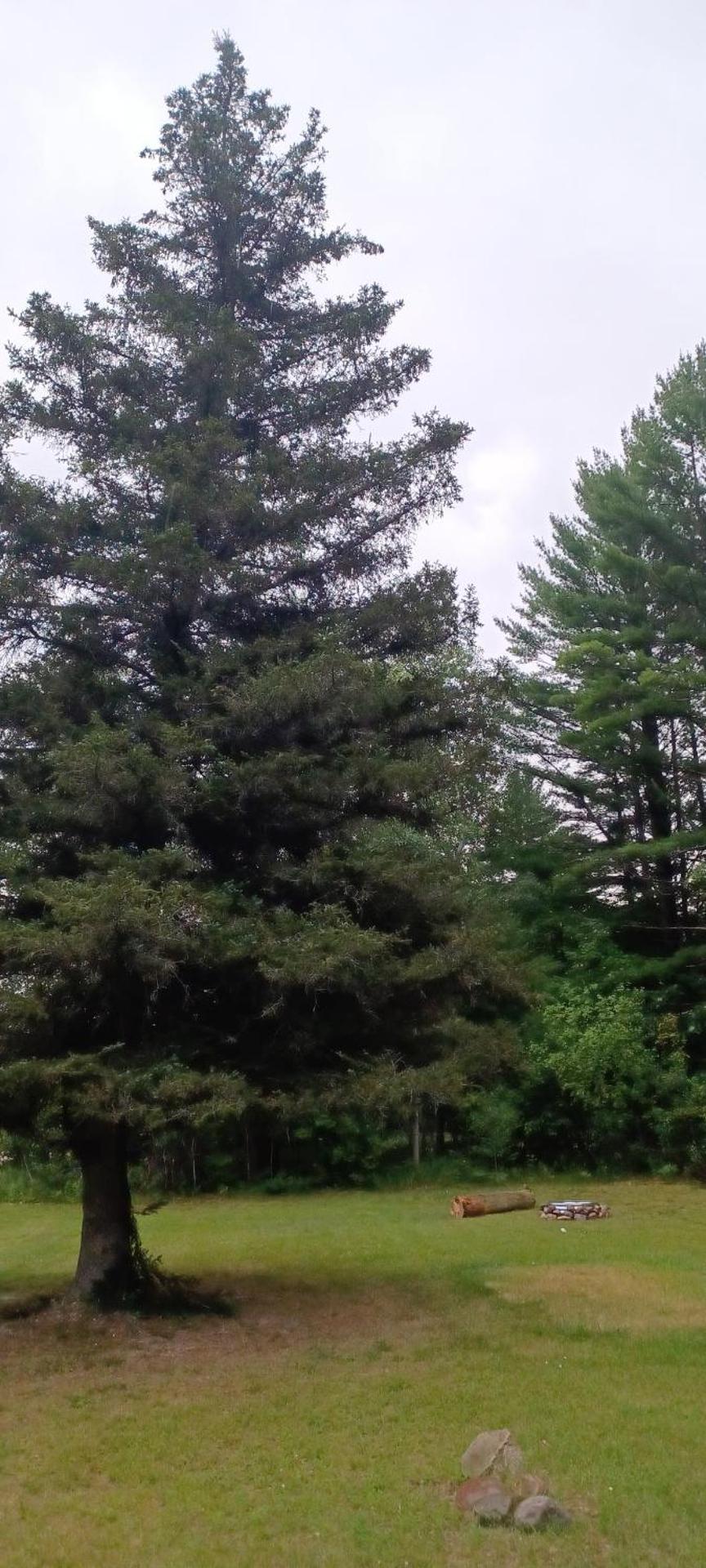 TeePee Room 9-Newly Renovated