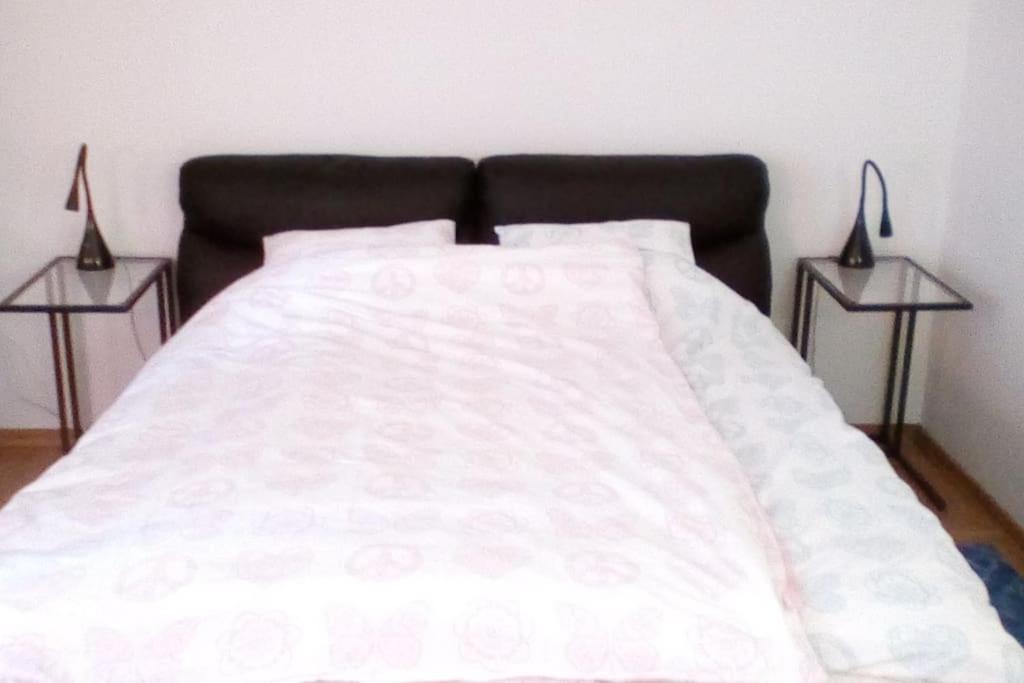 ZAGREB Botanical Garden Budget Apartment