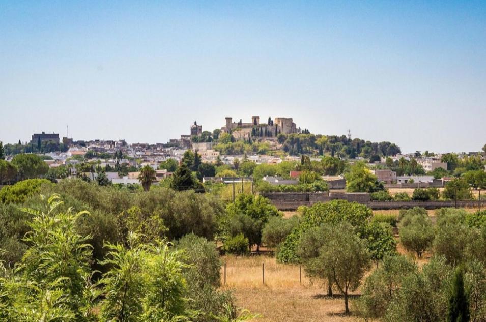 Il nido delle aquile