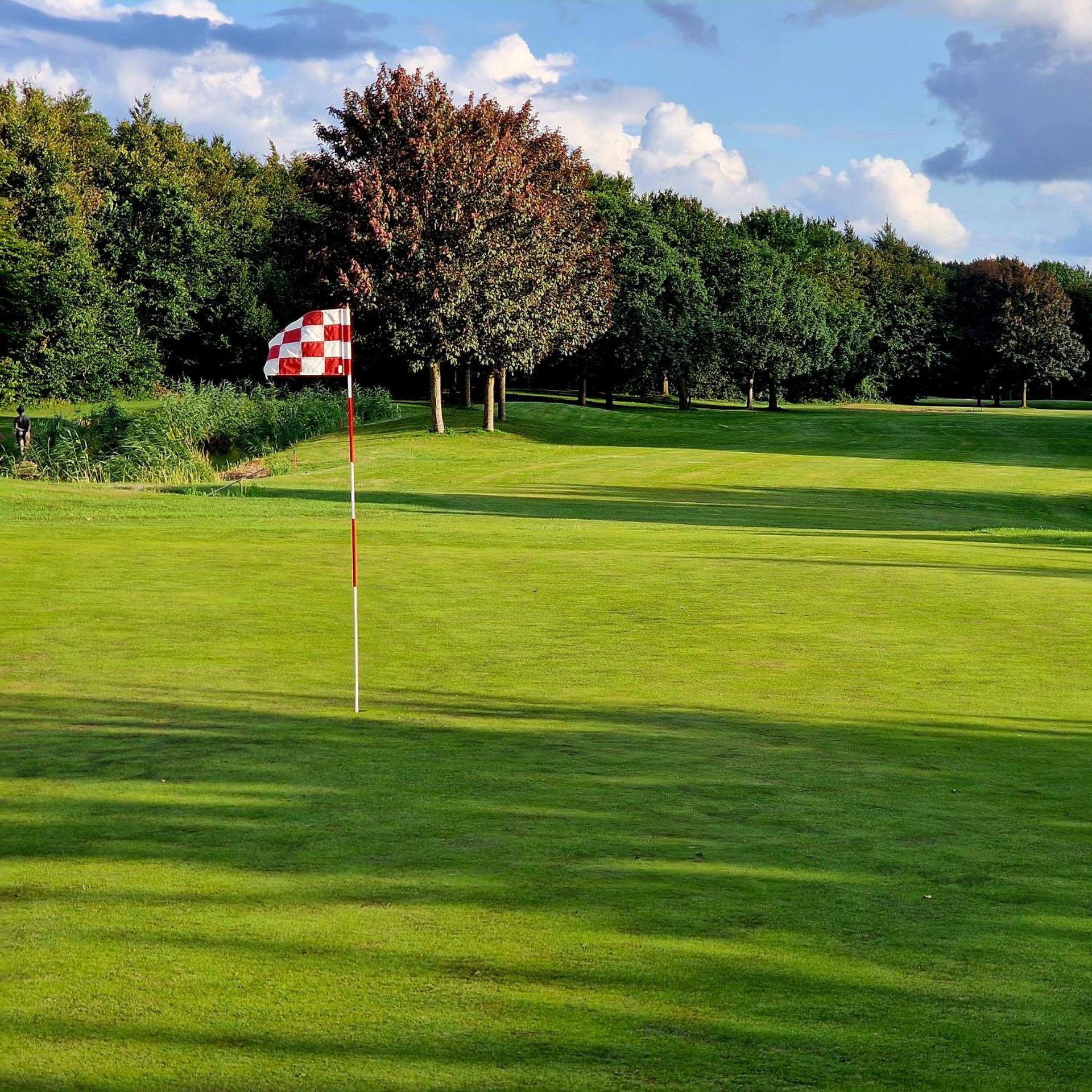 Studio Flevo Batavia