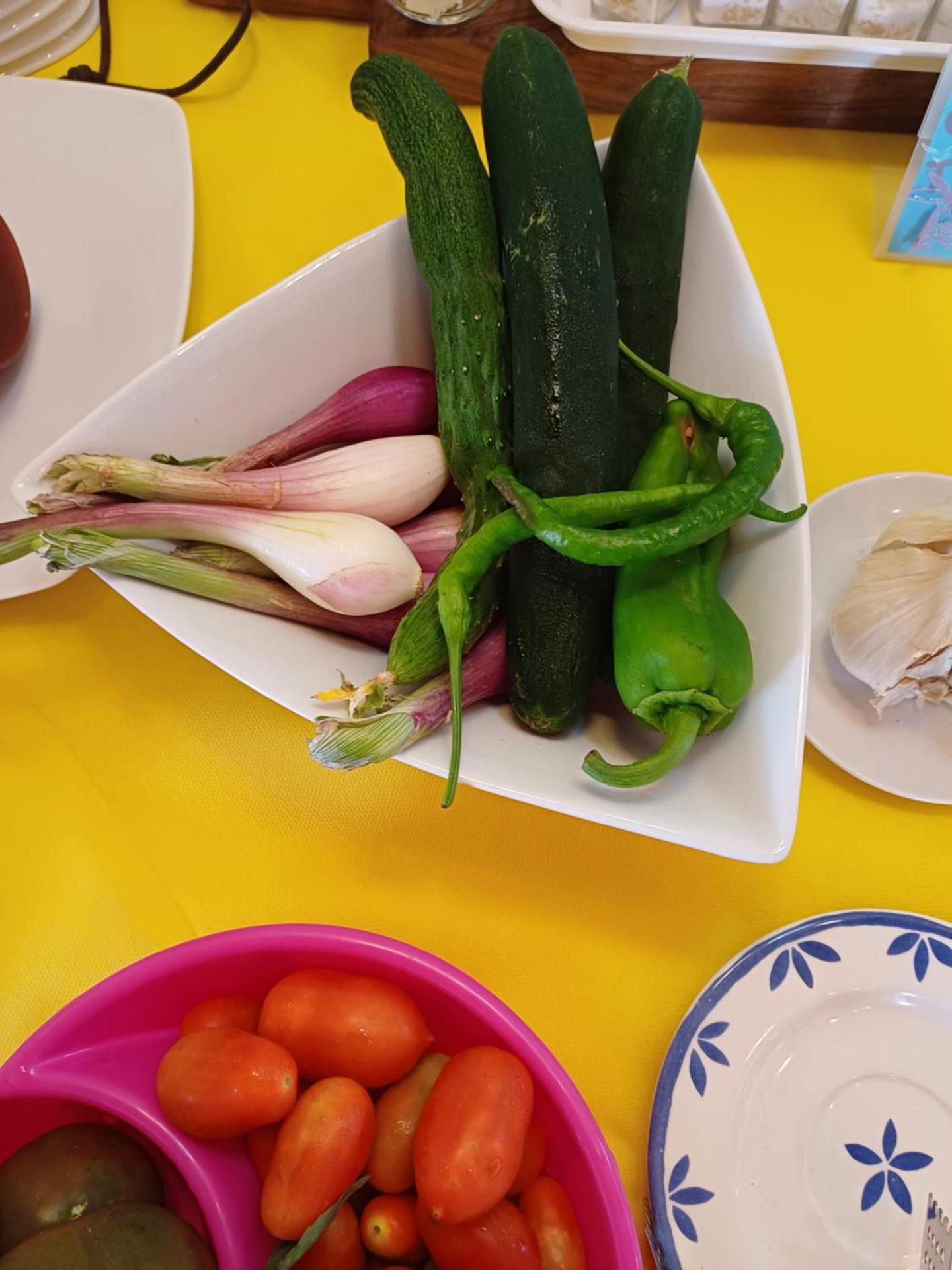 Agriturismo Bio Pian Dei Casali