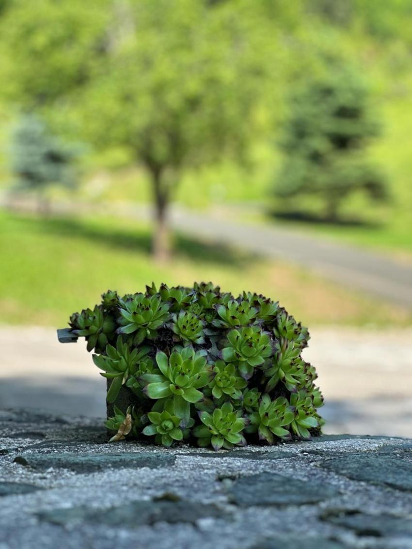 Apartments Jezerce 28