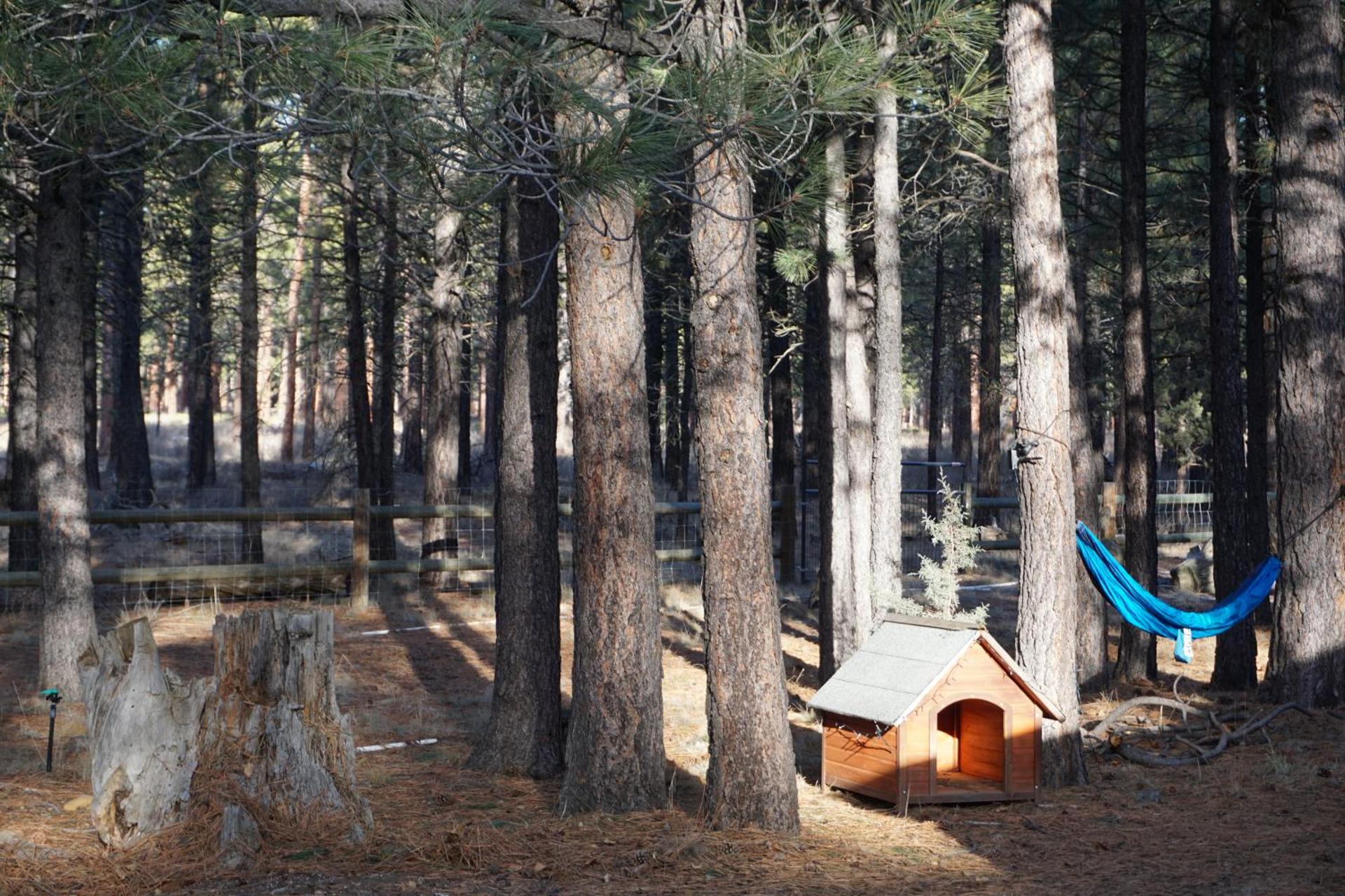 Beautiful Log home outside of Sisters