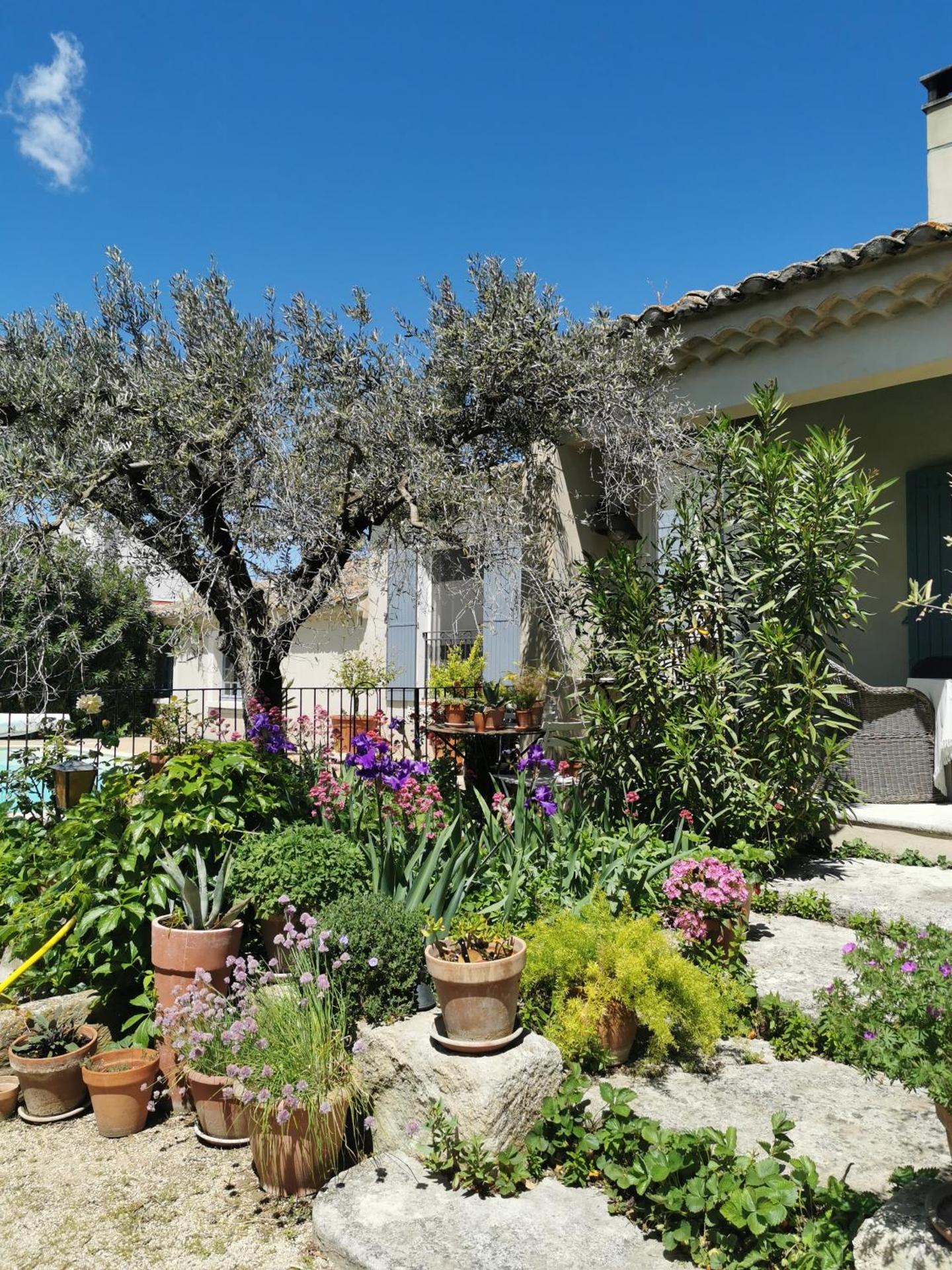 Chambre dans verdure Provençale