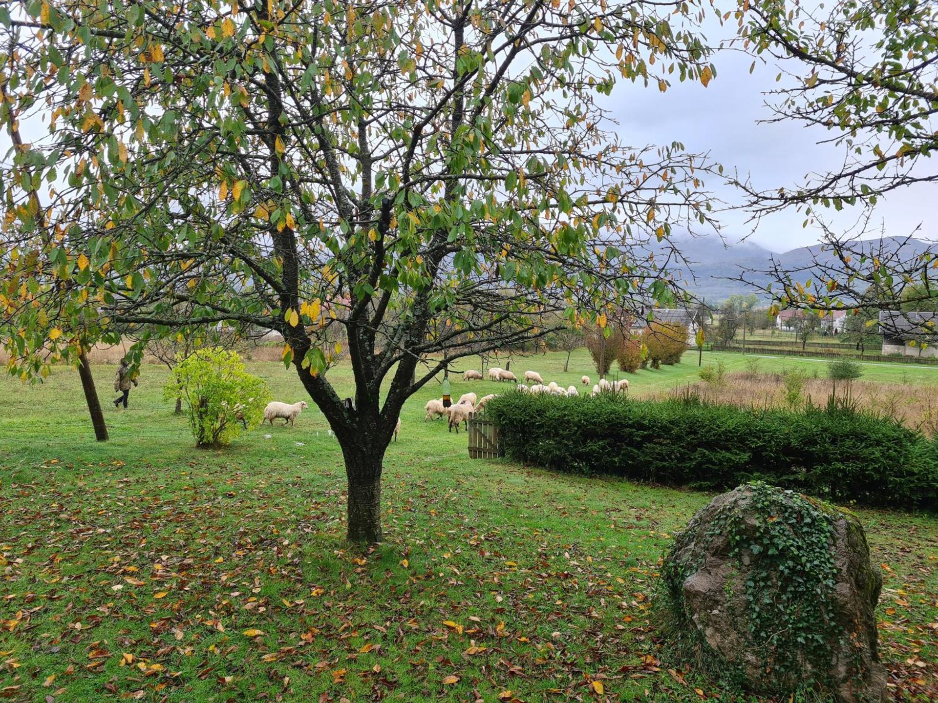 Forestside House Gacka with relax area