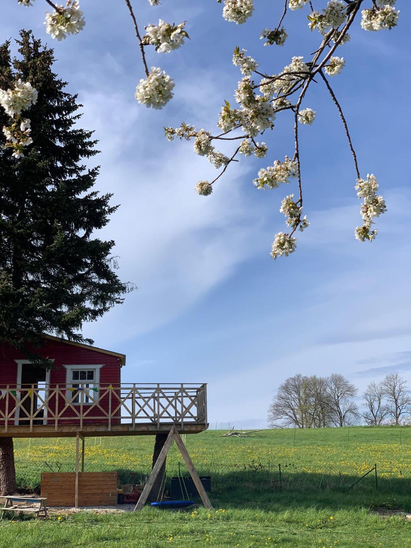 Ferienwohnung-Familienidylle-im-Vogtland-80qm