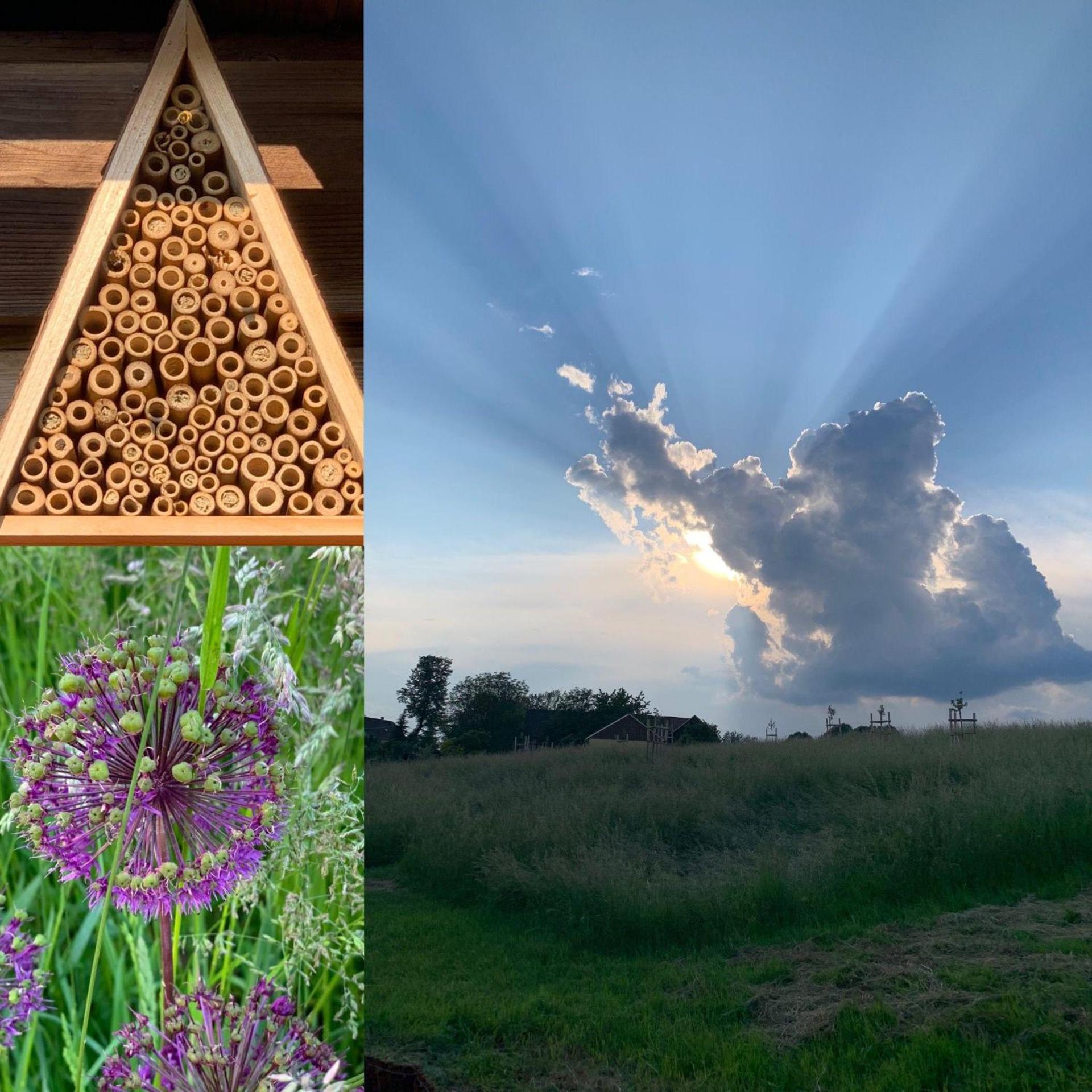 Ferienwohnung-Familienidylle-im-Vogtland-80qm