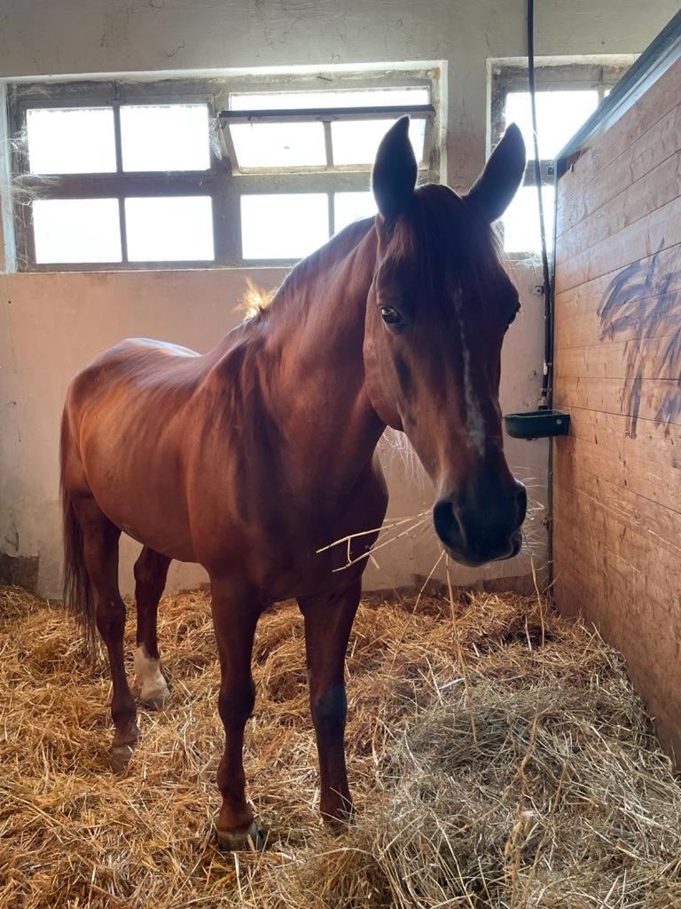 Agriturismo Tenuta Filippi