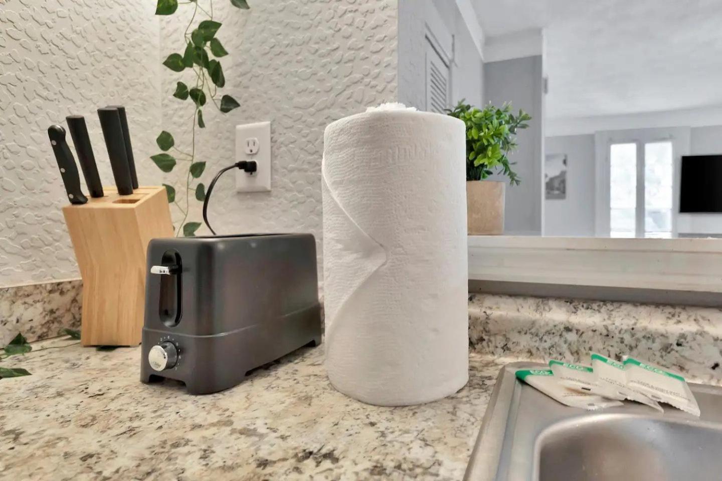 Le château Tampa, Walk to Hyde Park & Amalie Arena