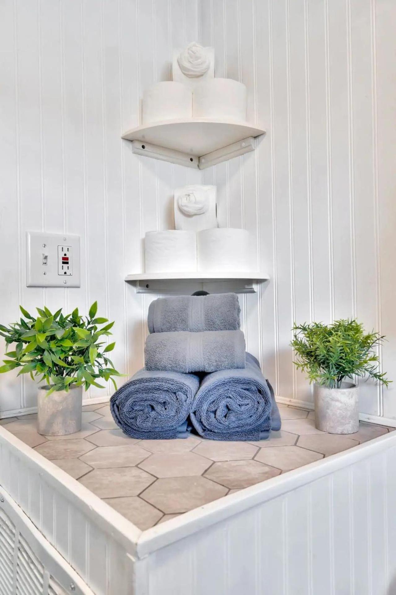 Le château Tampa, Walk to Hyde Park & Amalie Arena