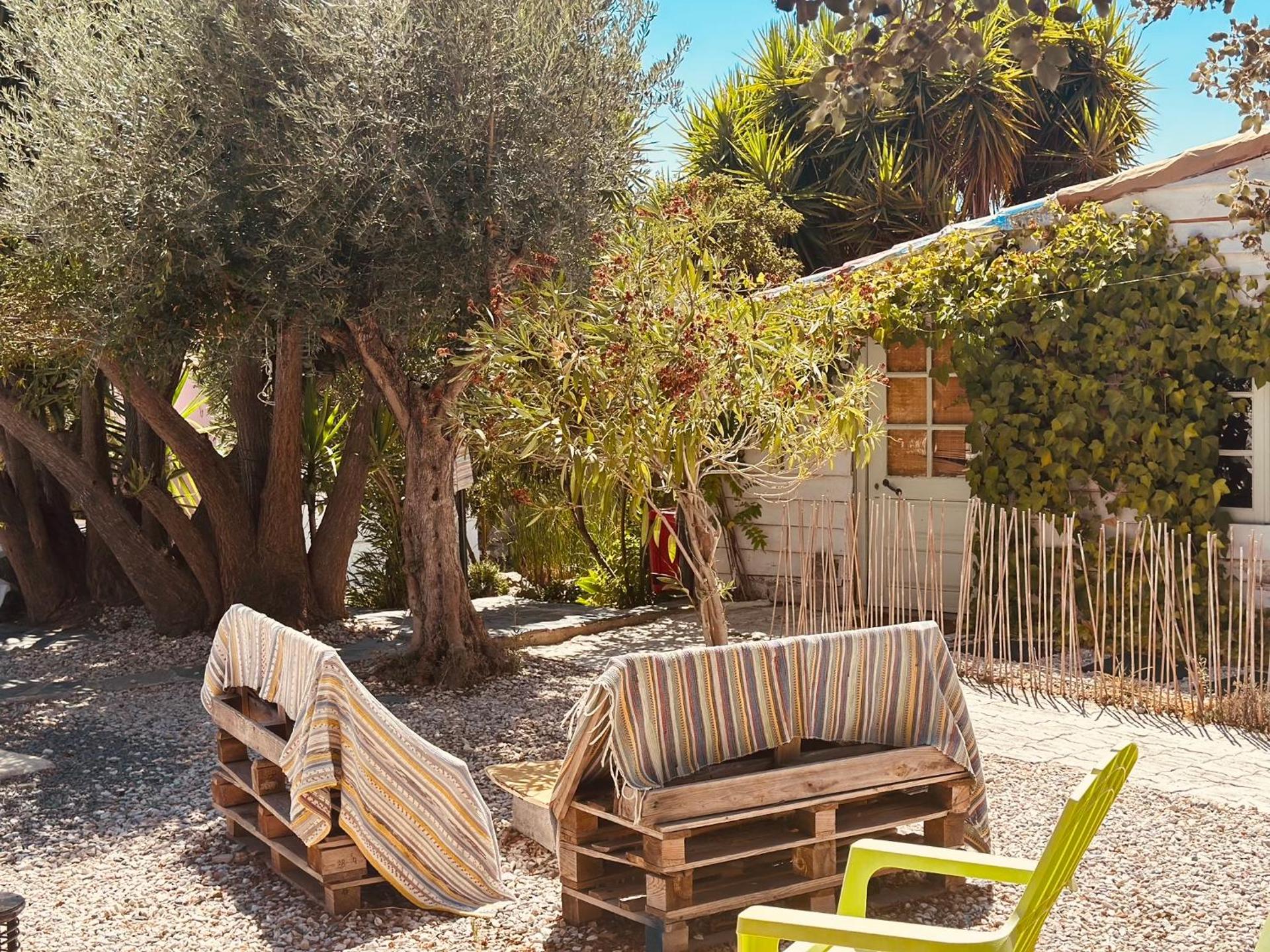 Casa Rico Frade Garden